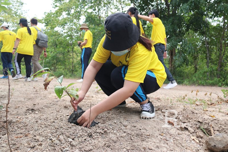 20210526-Tree planting dayt-016.jpg